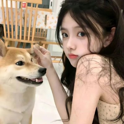 天降神犬2