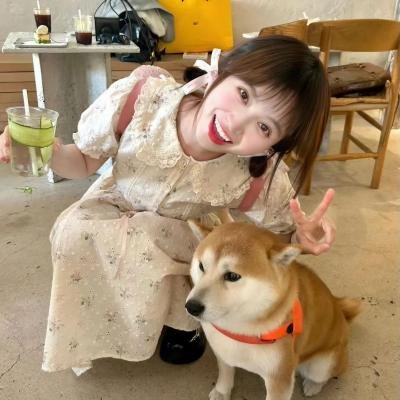 扫兴者第二季